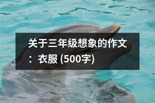關(guān)于三年級想象的作文：衣服 (500字)