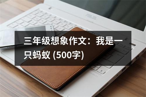 三年級(jí)想象作文：我是一只螞蟻 (500字)