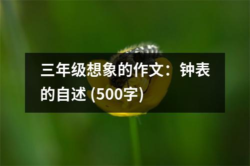 三年級(jí)想象的作文：鐘表的自述 (500字)