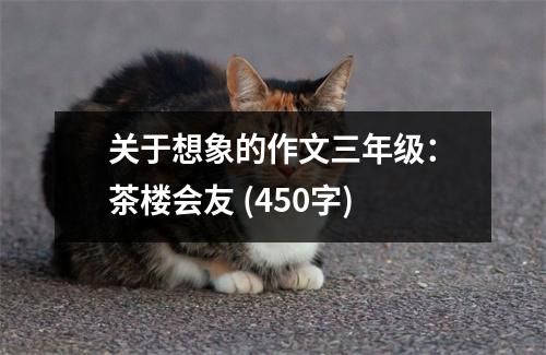關(guān)于想象的作文三年級(jí)：茶樓會(huì)友 (450字)
