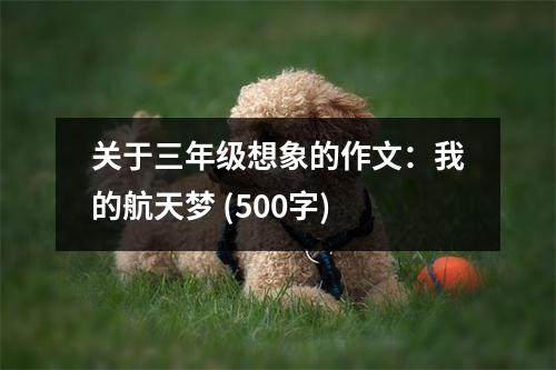 關(guān)于三年級(jí)想象的作文：我的航天夢 (500字)