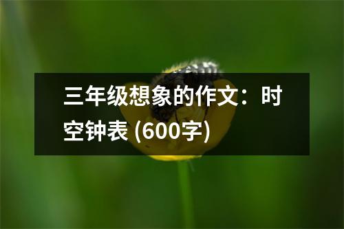 三年級(jí)想象的作文：時(shí)空鐘表 (600字)