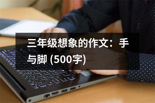 三年級想象的作文：手與腳 (500字)