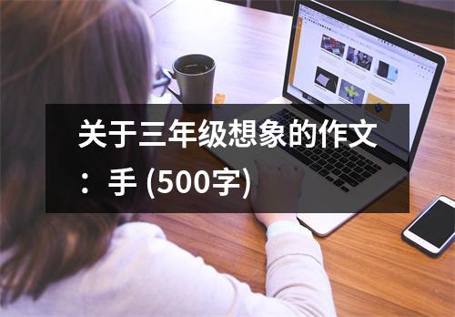 關于三年級想象的作文：手 (500字)