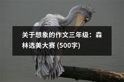 關于想象的作文三年級：森林選美大賽 (500字)