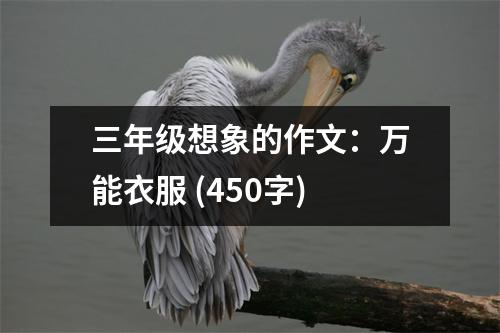 三年級(jí)想象的作文：萬(wàn)能衣服 (450字)