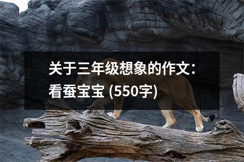 關于三年級想象的作文：看蠶寶寶 (550字)