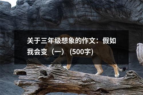 關于三年級想象的作文：假如我會變（一） (500字)