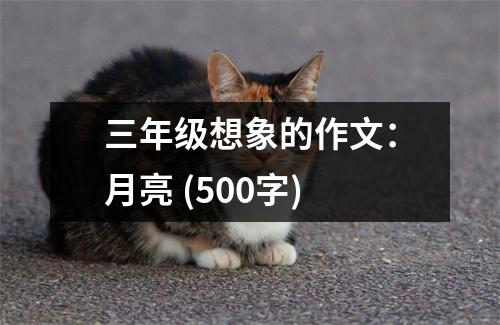 三年級想象的作文：月亮 (500字)