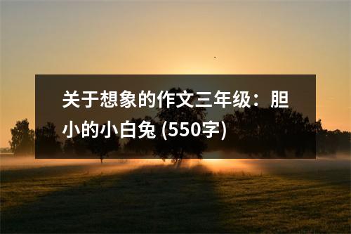 關于想象的作文三年級：膽小的小白兔 (550字)