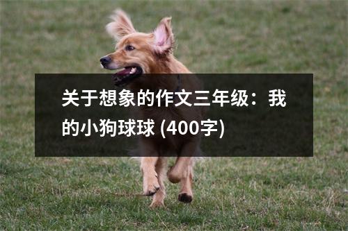 關于想象的作文三年級：我的小狗球球 (400字)