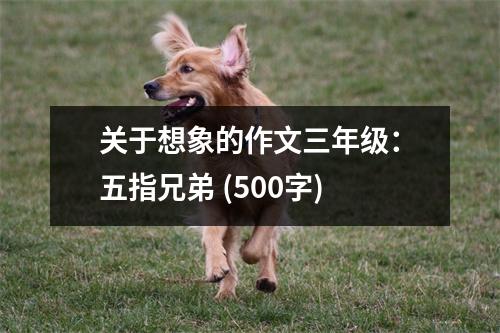 關于想象的作文三年級：五指兄弟 (500字)