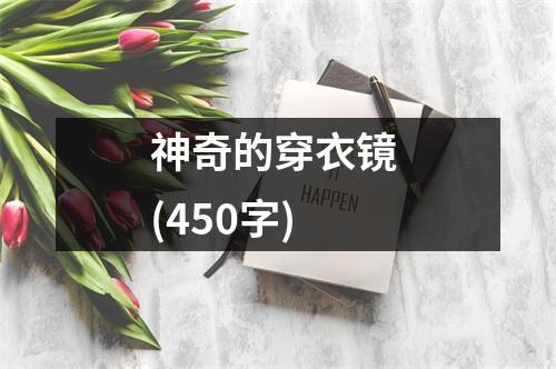 神奇的穿衣鏡 (450字)