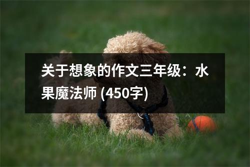 關(guān)于想象的作文三年級(jí)：水果魔法師 (450字)