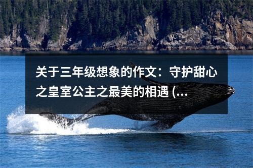 關(guān)于三年級想象的作文：守護(hù)甜心之皇室公主之最美的相遇 (500字)