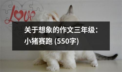 關(guān)于想象的作文三年級：小豬賽跑 (550字)