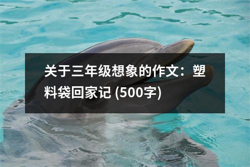 關(guān)于三年級(jí)想象的作文：塑料袋回家記 (500字)