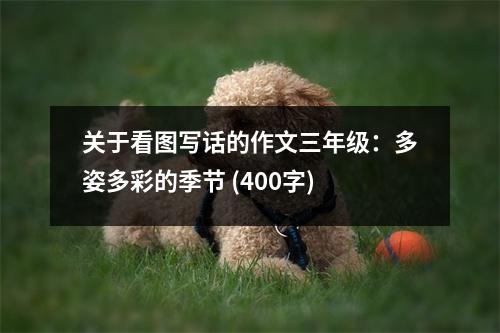 關于看圖寫話的作文三年級：多姿多彩的季節(jié) (400字)