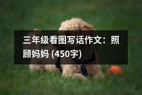 三年級(jí)看圖寫(xiě)話作文：照顧媽媽 (450字)
