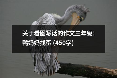 關(guān)于看圖寫(xiě)話的作文三年級(jí)：鴨媽媽找蛋 (450字)