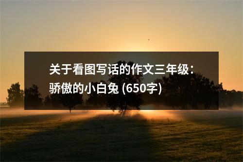 關(guān)于看圖寫(xiě)話的作文三年級(jí)：驕傲的小白兔 (650字)