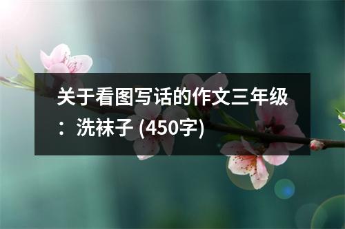 關(guān)于看圖寫(xiě)話的作文三年級(jí)：洗襪子 (450字)