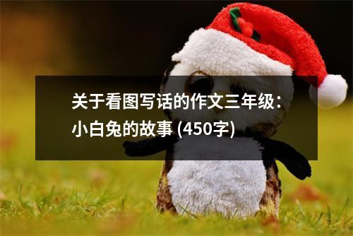 關(guān)于看圖寫話的作文三年級：小白兔的故事 (450字)