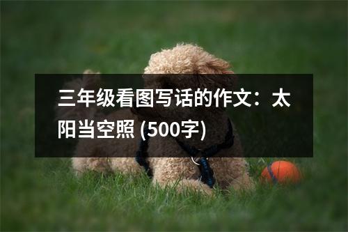 三年級看圖寫話的作文：太陽當(dāng)空照 (500字)