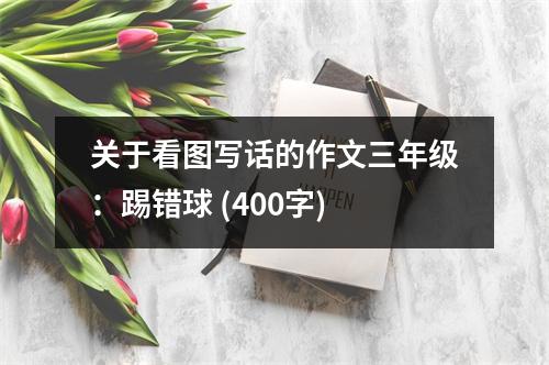 關于看圖寫話的作文三年級：踢錯球 (400字)