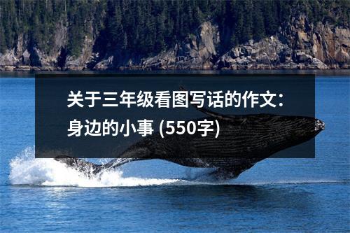 關于三年級看圖寫話的作文：身邊的小事 (550字)