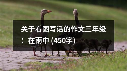 關于看圖寫話的作文三年級：在雨中 (450字)