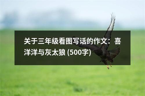 關(guān)于三年級(jí)看圖寫話的作文：喜洋洋與灰太狼 (500字)