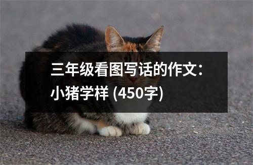 三年級(jí)看圖寫話的作文：小豬學(xué)樣 (450字)