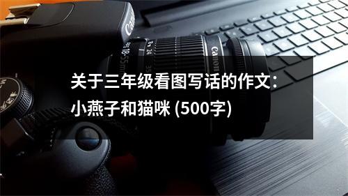 關(guān)于三年級(jí)看圖寫話的作文：小燕子和貓咪 (500字)