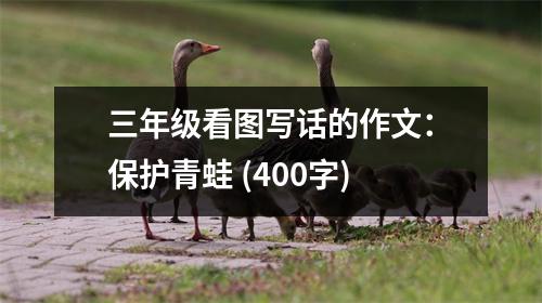 三年級(jí)看圖寫話的作文：保護(hù)青蛙 (400字)
