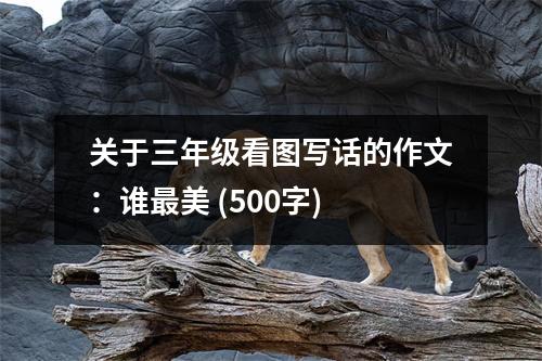 關(guān)于三年級(jí)看圖寫話的作文：誰最美 (500字)