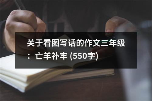 關(guān)于看圖寫話的作文三年級：亡羊補牢 (550字)