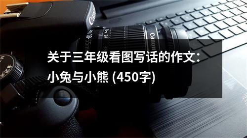 關(guān)于三年級看圖寫話的作文：小兔與小熊 (450字)