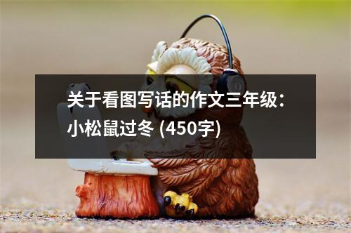 關(guān)于看圖寫話的作文三年級：小松鼠過冬 (450字)