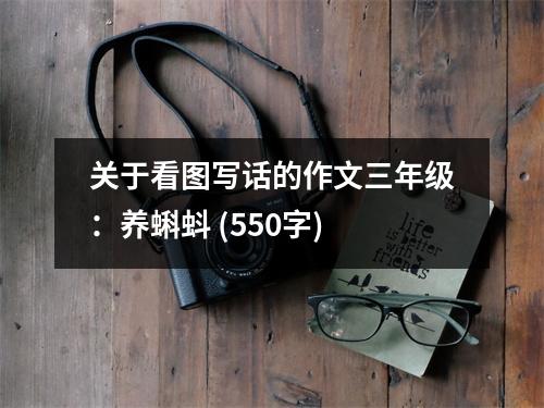 關(guān)于看圖寫話的作文三年級：養(yǎng)蝌蚪 (550字)