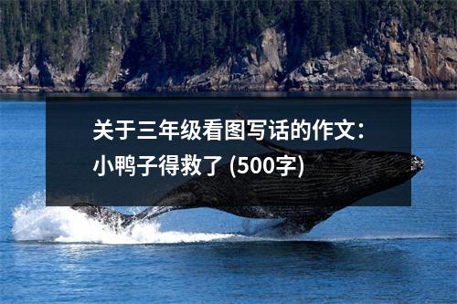 關(guān)于三年級(jí)看圖寫話的作文：小鴨子得救了 (500字)