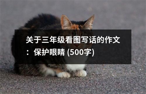 關(guān)于三年級(jí)看圖寫話的作文：保護(hù)眼睛 (500字)