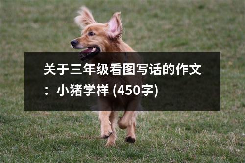 關(guān)于三年級看圖寫話的作文：小豬學(xué)樣 (450字)