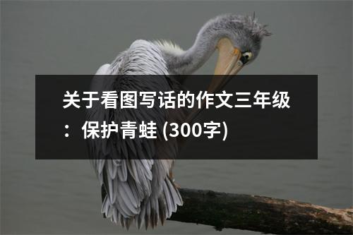 關(guān)于看圖寫話的作文三年級：保護(hù)青蛙 (300字)