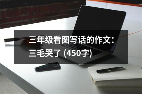 三年級看圖寫話的作文：三毛哭了 (450字)