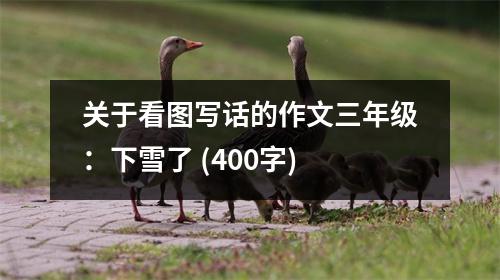 關(guān)于看圖寫話的作文三年級：下雪了 (400字)