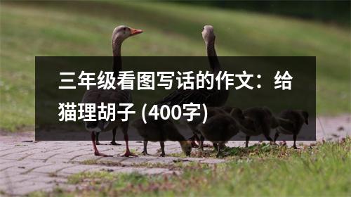 三年級看圖寫話的作文：給貓理胡子 (400字)