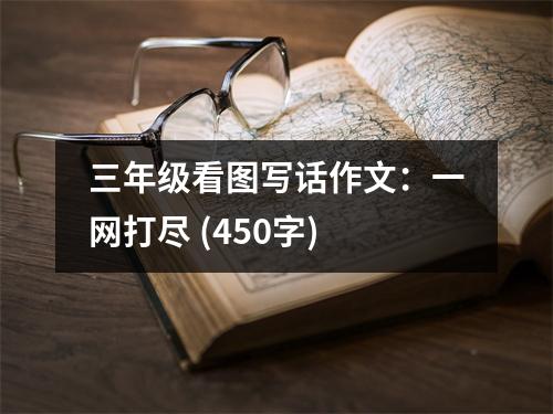 三年級看圖寫話作文：一網(wǎng)打盡 (450字)