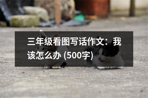 三年級看圖寫話作文：我該怎么辦 (500字)