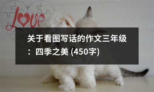 關(guān)于看圖寫話的作文三年級：四季之美 (450字)